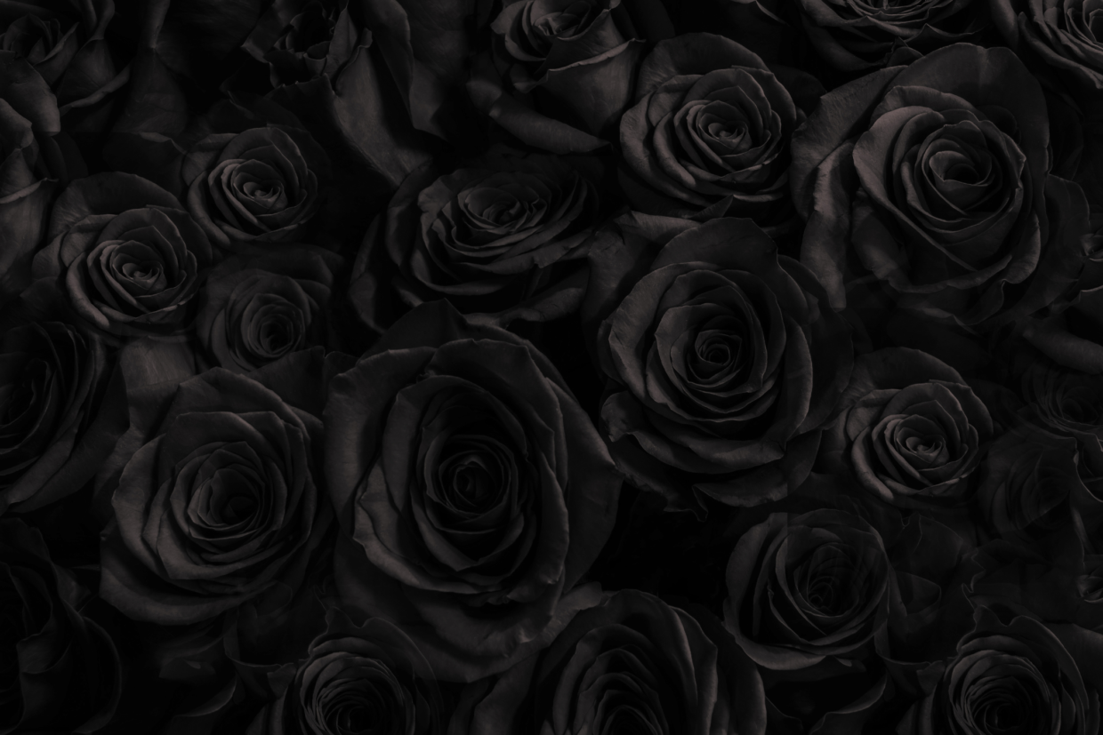 Black Roses